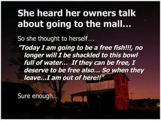 She heard her owners talk about going to the mall… So she thought to herself…. ” Today I am going to be a free fish!!!, no longer will I be shackled to this bowl full of water…  If they can be free, I deserve to be free also… So when they leave…I am out of here!!” Sure enough… 