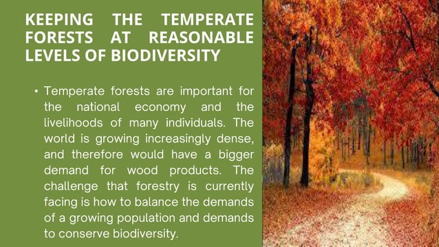 People and Forest- TEmperate fo3 (1).pdf