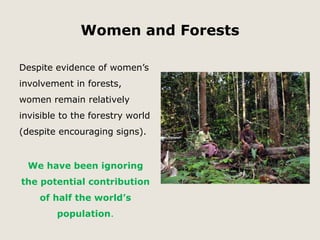 Women and Forests 
Despite evidence of women’s 
involvement in forests, 
women remain relatively 
invisible to the forestry world 
(despite encouraging signs). 
We have been ignoring 
the potential contribution 
of half the world’s 
population. 
 