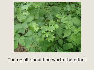 The result should be worth the effort! 
