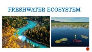 FRESHWATER ECOSYSTEM
 