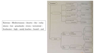 Extreme – Mediterranean – deserts – dry – rocky
shores – low – grasslands – rivers – terrestrial –
freshwater – high – sandy beaches – humid – cool
 