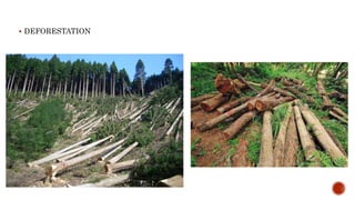  DEFORESTATION
 