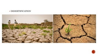  DESERTIFICATION
 