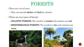 FORESTS
 There are a lot of trees.
 They are provide shelter and food for animals.
 There are two types of forests:
 ATLANTIC FORESTS. The weather is humid and summers are cool.
 MEDITERRANEAN FORESTS. The weather is dry and summers are
warm.
 