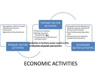 ECONOMIC ACTIVITIES
•Occupations which are closely
related to the nature or
environment
•Agriculture, Dairy, forestry etc
PRIMARY SECTOR
ACTIVITIES
• All Service occupation
• Banking, Insurance,
Transportation etc
• Provide services to primary and
secondary sector
TERTIARY SECTOR
ACTIVITIES • Occupations which Manufacture
goods by using raw materials of
primary sector activities
• Use of cotton-producing cotton
cloth
• Processes the raw material or
provide finished products
SECONDARY
SECTOR ACTIVITIES
KV
Activities in tertiary sector results in the
production of goods and services
KV
 