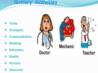  Trade
 Transport
 Communication
 Banking
 Education
 Health
 Services
 Insurance
 