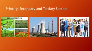 Primary, Secondary and Tertiary Sectors
 