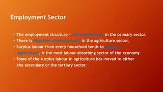 Employment Sector
• The employment structure - self-employment in the primary sector.
• There is disguised unemployment in the agriculture sector.
• Surplus labour from every household tends to migrate
• Agriculture, is the most labour absorbing sector of the economy
• Some of the surplus labour in agriculture has moved to either
the secondary or the tertiary sector.
 
