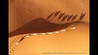 FIAP Best Author: Hussam Alabdullatif (Saudi Arabia) Camel convoy 3Section A: Shadow & Shade:
 
