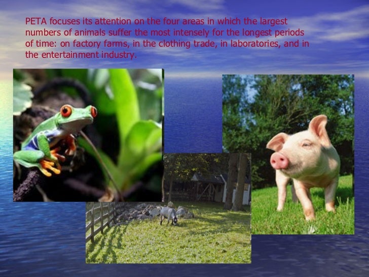 ethical treatment of animals The list includes companies that make cosmetics, personal-care products, household-cleaning products, and other common household products in the us, no law requires that these types of products be tested on animals, and companies can choose not to sell their products in countries such as china, where tests on animals are required for cosmetics and other products. ethical treatment of animals The list includes companies that make cosmetics, personal-care products, household-cleaning products, and other common household products in the us, no law requires that these types of products be tested on animals, and companies can choose not to sell their products in countries such as china, where tests on animals are required for cosmetics and other products.