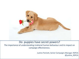 Do puppies have secret powers?
The importance of understanding irrational human behaviour and its impact on
                          campaign effectiveness.

                                   Justine Pannett, Senior Campaigns Manager. RSPCA
                                                                     @justine_RSPCA
 