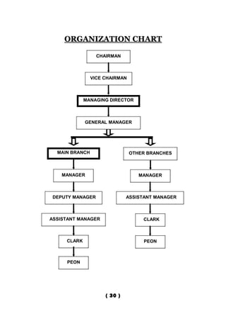 ORGANIZATION CHART

                  CHAIRMAN



                VICE CHAIRMAN



             MANAGING DIRECTOR



             GENERAL MANAGER




  MAIN BRANCH                   OTHER BRANCHES



    MANAGER                        MANAGER



 DEPUTY MANAGER               ASSISTANT MANAGER



ASSISTANT MANAGER                   CLARK



     CLARK                          PEON



     PEON




                     ( 30 )
 