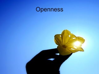 Opness Understanding People: Personality Traits and DISC Model | PDF