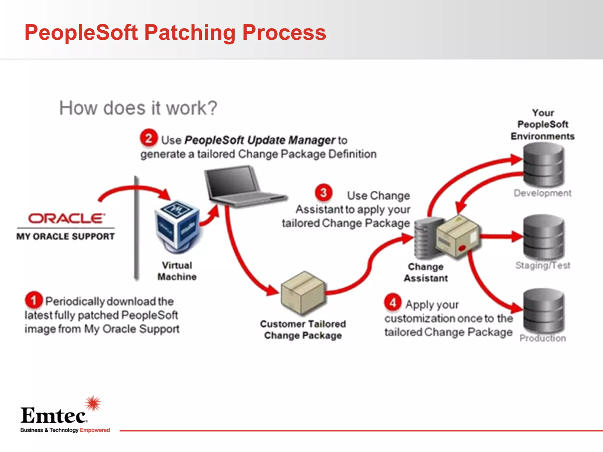 PeopleSoft Patching Process

 