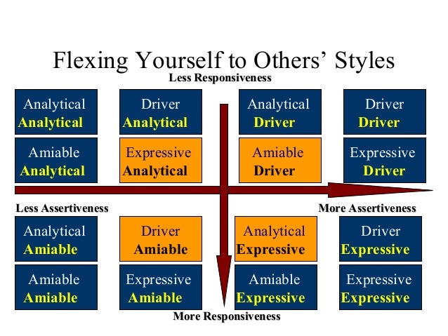 Analytical Driver Amiable Expressive Test Analytical Driver Amiable Expressive Test