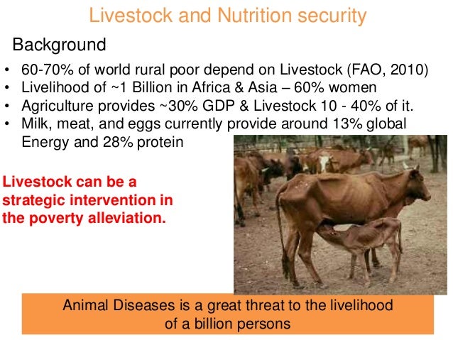 People, their livestock, livelihood and diseases. compllexity of inte…
