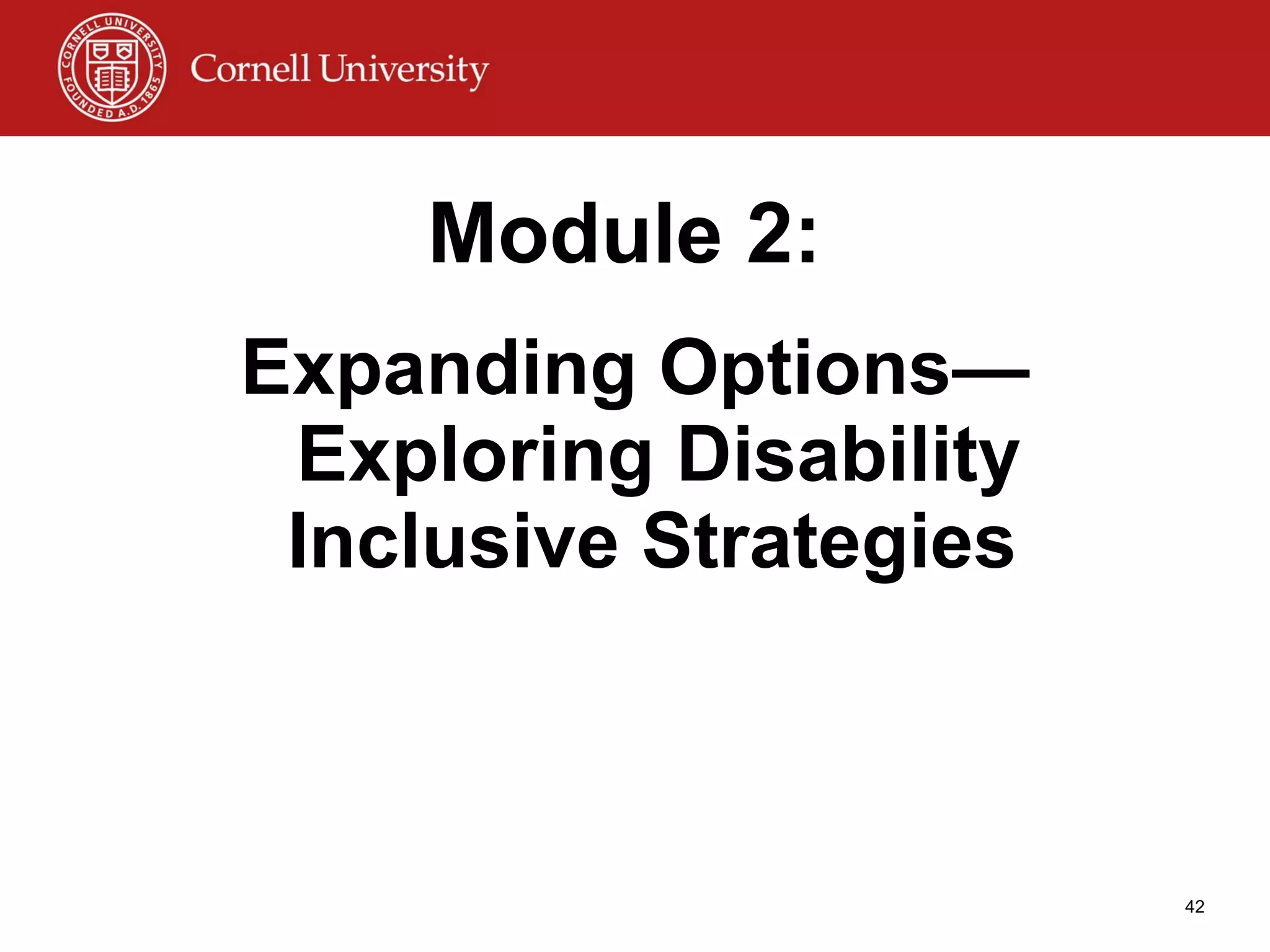 Module 2: Expanding Options—Exploring Disability Inclusive Strategies   