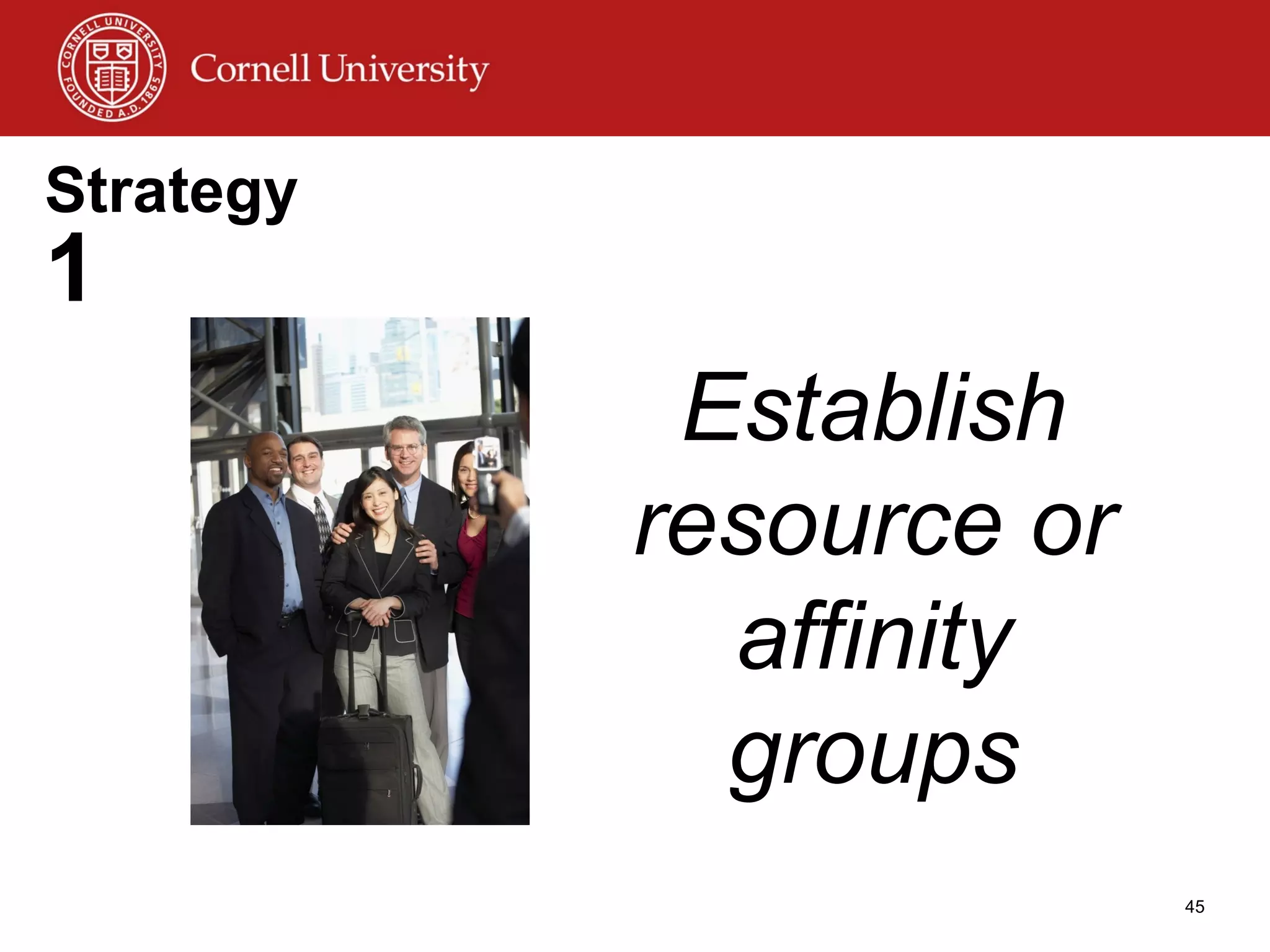 Strategy  1 Establish resource or affinity groups 