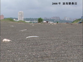 2008 年 滄海變桑田
 