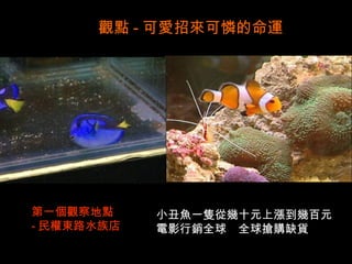 觀點 - 可愛招來可憐的命運




第一個觀察地點     小丑魚一隻從幾十元上漲到幾百元
- 民權東路水族店   電影行銷全球 全球搶購缺貨
 