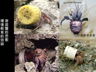 環寄
境居
教蟹
育的
的悲
效歌
益
 