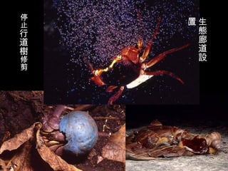 停
止   置生
行    態
道    廊
樹    道
修    設
剪
 