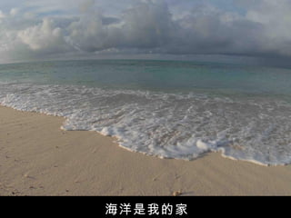 海洋是我的家
 