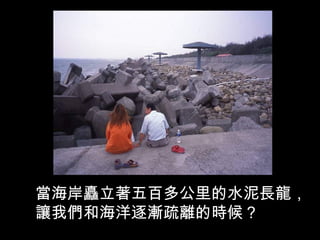 當海岸矗立著五百多公里的水泥長龍，
讓我們和海洋逐漸疏離的時候？
 