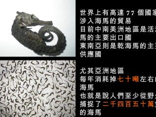 世界上有高達 7 7 個國家
涉入海馬的貿易
目前中南美洲地區是活海
馬的主要出口國
東南亞則是乾海馬的主要
供應國

尤其亞洲地區
每年消耗掉七十噸左右的
海馬
也就是說人們至少從野外
捕捉了二千四百五十萬隻
的海馬
 