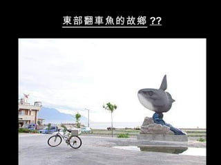 東部翻車魚的故鄉 ??
 