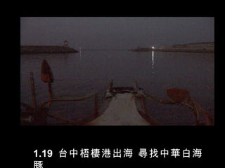 1.19 台中梧棲港出海 尋找中華白海
 