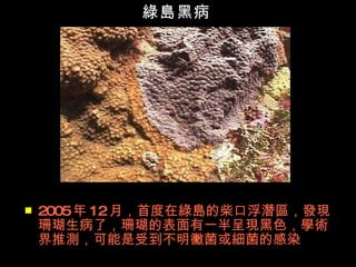 綠島黑病




   2005年 12月，首度在綠島的柴口浮潛區，發現
    珊瑚生病了，珊瑚的表面有一半呈現黑色，學術
    界推測，可能是受到不明黴菌或細菌的感染
 