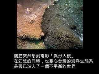 腦筋突然想到電影「異形入侵」
在幻想的同時，也憂心台灣的海洋生態系
是否已進入了一個不平衡的世界
 