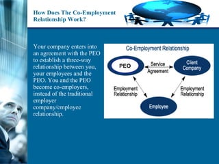 How Does The Co-Employment Relationship Work? Your company enters into an agreement with the PEO to establish a three-way relationship between you, your employees and the PEO. You and the PEO become co-employers, instead of the traditional employer company/employee relationship. PEO 