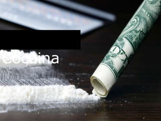 coca
Cocaina
 