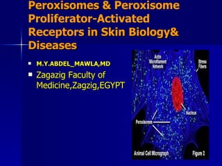 Peroxisomes &  Peroxisome Proliferator-Activated Receptors   in Skin Biology&  Diseases ,[object Object],[object Object]