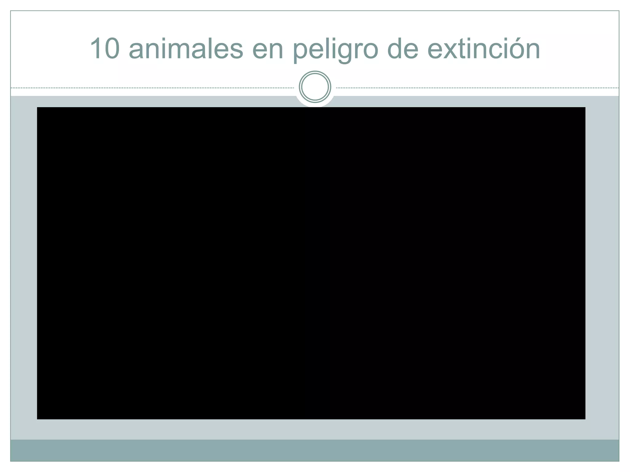 10 animales en peligro de extinción
 