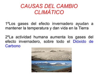 CAUSAS DEL CAMBIO
CLIMÁTICO
1ºLos gases del efecto invernadero ayudan a
mantener la temperatura y dan vida en la Tierra
2ºLa actividad humana aumenta los gases del
efecto invernadero, sobre todo el Dióxido de
Carbono