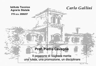 Prof. Pietro Cavagna  Il peperone di Voghera merita  una  tutela, una promozione, un disciplinare 5°D a.s. 2006/07 