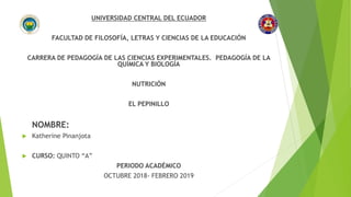 UNIVERSIDAD CENTRAL DEL ECUADOR
FACULTAD DE FILOSOFÍA, LETRAS Y CIENCIAS DE LA EDUCACIÓN
CARRERA DE PEDAGOGÍA DE LAS CIENCIAS EXPERIMENTALES. PEDAGOGÍA DE LA
QUÍMICA Y BIOLOGÍA
NUTRICIÓN
EL PEPINILLO
NOMBRE:
 Katherine Pinanjota
 CURSO: QUINTO “A”
PERIODO ACADÉMICO
OCTUBRE 2018- FEBRERO 2019
 