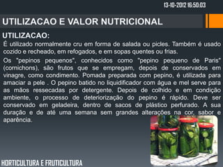 13-10-2012 16:50:03




É utilizado normalmente cru em forma de salada ou picles. Também é usado
cozido e recheado, em refogados, e em sopas quentes ou frias.
Os "pepinos pequenos", conhecidos como "pepino pequeno de Paris"
(cornichons), são frutos que se empregam, depois de conservados em
vinagre, como condimento. Pomada preparada com pepino, é utilizada para
amaciar a pele . O pepino batido no liquidificador com água e mel serve para
as mãos ressecadas por detergente. Depois de colhido e em condição
ambiente, o processo de deteriorização do pepino é rápido. Deve ser
conservado em geladeira, dentro de sacos de plástico perfurado. A sua
duração e de até uma semana sem grandes alterações na cor, sabor e
aparência.




HORTICULTURA E FRUTICULTURA
 