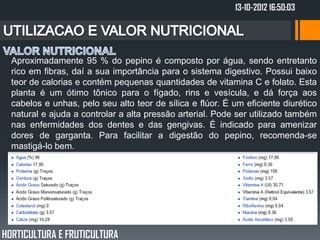 13-10-2012 16:50:03




  Aproximadamente 95 % do pepino é composto por água, sendo entretanto
  rico em fibras, daí a sua importância para o sistema digestivo. Possui baixo
  teor de calorias e contém pequenas quantidades de vitamina C e folato. Esta
  planta é um ótimo tônico para o fígado, rins e vesícula, e dá força aos
  cabelos e unhas, pelo seu alto teor de sílica e flúor. É um eficiente diurético
  natural e ajuda a controlar a alta pressão arterial. Pode ser utilizado também
  nas enfermidades dos dentes e das gengivas. É indicado para amenizar
  dores de garganta. Para facilitar a digestão do pepino, recomenda-se
  mastigá-lo bem.




HORTICULTURA E FRUTICULTURA
 