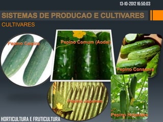 13-10-2012 16:50:03



CULTIVARES




HORTICULTURA E FRUTICULTURA
 