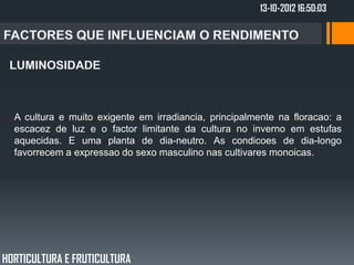 13-10-2012 16:50:03




  A cultura e muito exigente em irradiancia, principalmente na floracao: a
  escacez de luz e o factor limitante da cultura no inverno em estufas
  aquecidas. E uma planta de dia-neutro. As condicoes de dia-longo
  favorrecem a expressao do sexo masculino nas cultivares monoicas.




HORTICULTURA E FRUTICULTURA
 