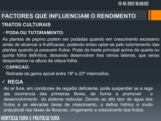13-10-2012 16:50:03




As plantas de pepino podem ser podadas quando em crescimento excessivo
antes de alcancar a frutificacao, podendo entao optar-se pelo tutorramento das
plantas quando ja possuem frutos. Poda da haste principal acima da quarta ou
quinta folha definitiva, deixando desenvolver tres ramos laterais, que serao
despontados na altura da oitava folha.

  Retirada da gema apical entre 18º e 22º internodios.


 Ao ar livre, em condicoes de regadio deficiente, pode suspender se a rega
 ate ocorrencia das primeiras flores, de forma a promover                o
 desenvolvimento do sistema radicular. Devido ao alto teor de agua dos
 frutos e as elevadas taxas de crescimento, o defice hidrico e muito
 prejudicial nas fases de floracao, vingamento e crescimento dos frutos.
HORTICULTURA E FRUTICULTURA
 