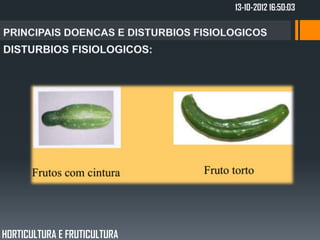 13-10-2012 16:50:03




HORTICULTURA E FRUTICULTURA
 