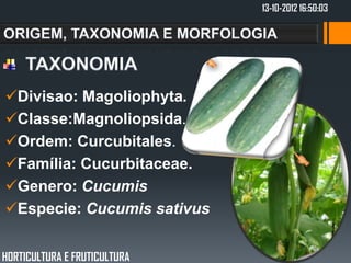 13-10-2012 16:50:03




Divisao: Magoliophyta.
Classe:Magnoliopsida.
Ordem: Curcubitales.
Família: Cucurbitaceae.
Genero: Cucumis
Especie: Cucumis sativus


HORTICULTURA E FRUTICULTURA
 