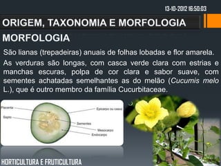 13-10-2012 16:50:03




São lianas (trepadeiras) anuais de folhas lobadas e flor amarela.
As verduras são longas, com casca verde clara com estrias e
manchas escuras, polpa de cor clara e sabor suave, com
sementes achatadas semelhantes as do melão (Cucumis melo
L.), que é outro membro da família Cucurbitaceae.




HORTICULTURA E FRUTICULTURA
 