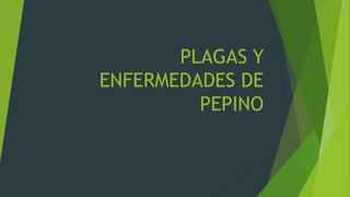 PLAGAS Y
ENFERMEDADES DE
PEPINO
 